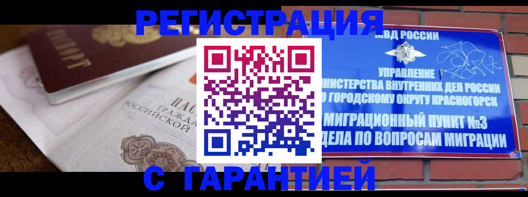 прописка 2025 в Зее